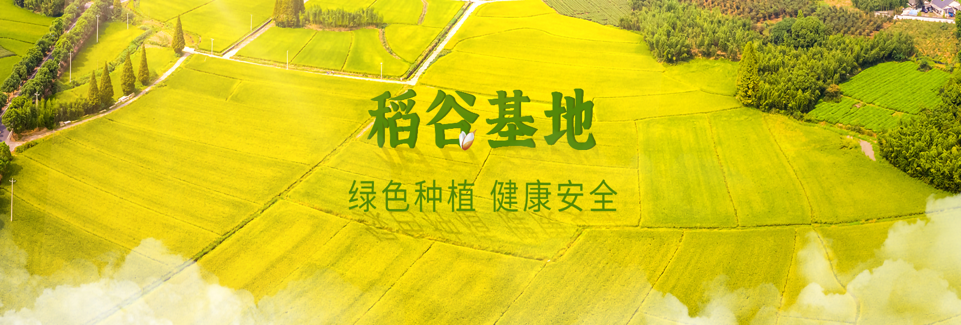 湖北大米厂家